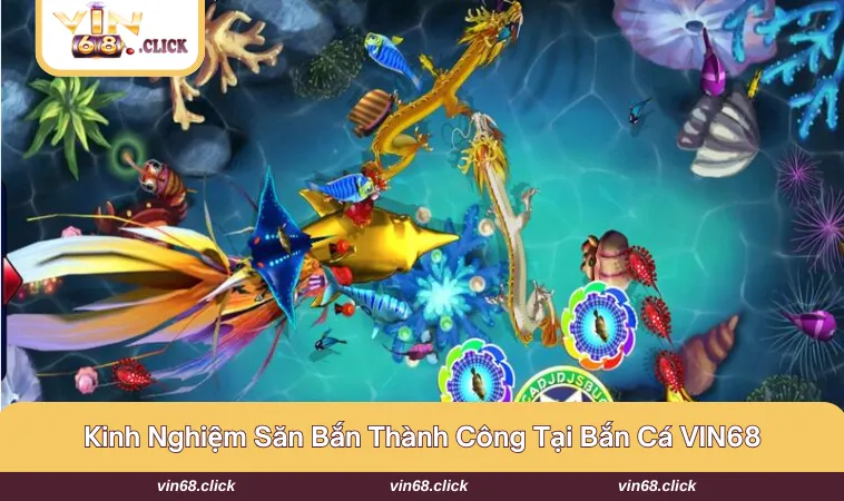 Chia sẻ những kinh nghiệm săn ngư bất bại