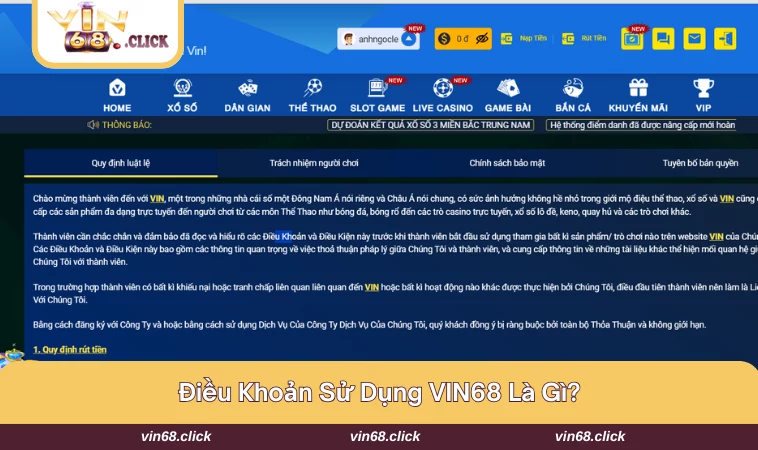 Người dùng sẽ chịu hoàn toàn trách nhiệm về mọi hoạt động tại VIN68