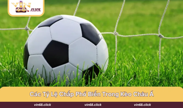 Điểm danh những loại hình phổ biến nhất khi tham gia