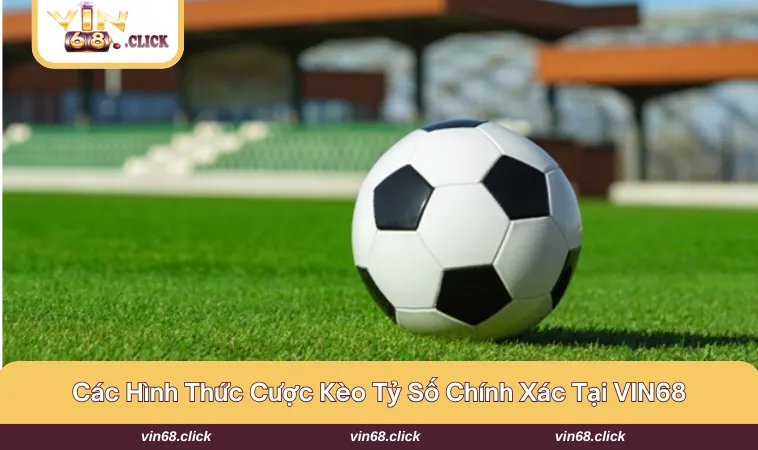 Tổng hợp những loại hình cược hấp dẫn tại nhà cái