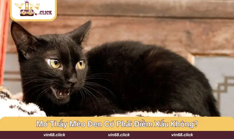 Nhiều ý kiến trái chiều định nghĩa về nội dung này