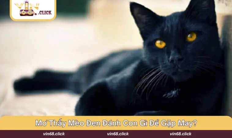 Những con số may mắn đem lại giá trị cho bạn