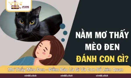 Mơ thấy mèo đen