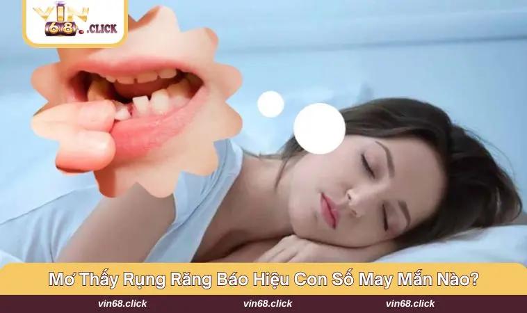 Mỗi giấc mơ đều mang con số đặc biệt cho riêng mình 